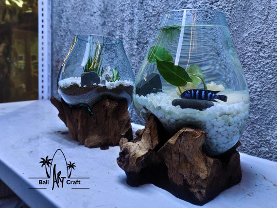 吹きガラス製水槽：1ガロン（約3.8リットル）流木入り水槽 - Etsy 日本