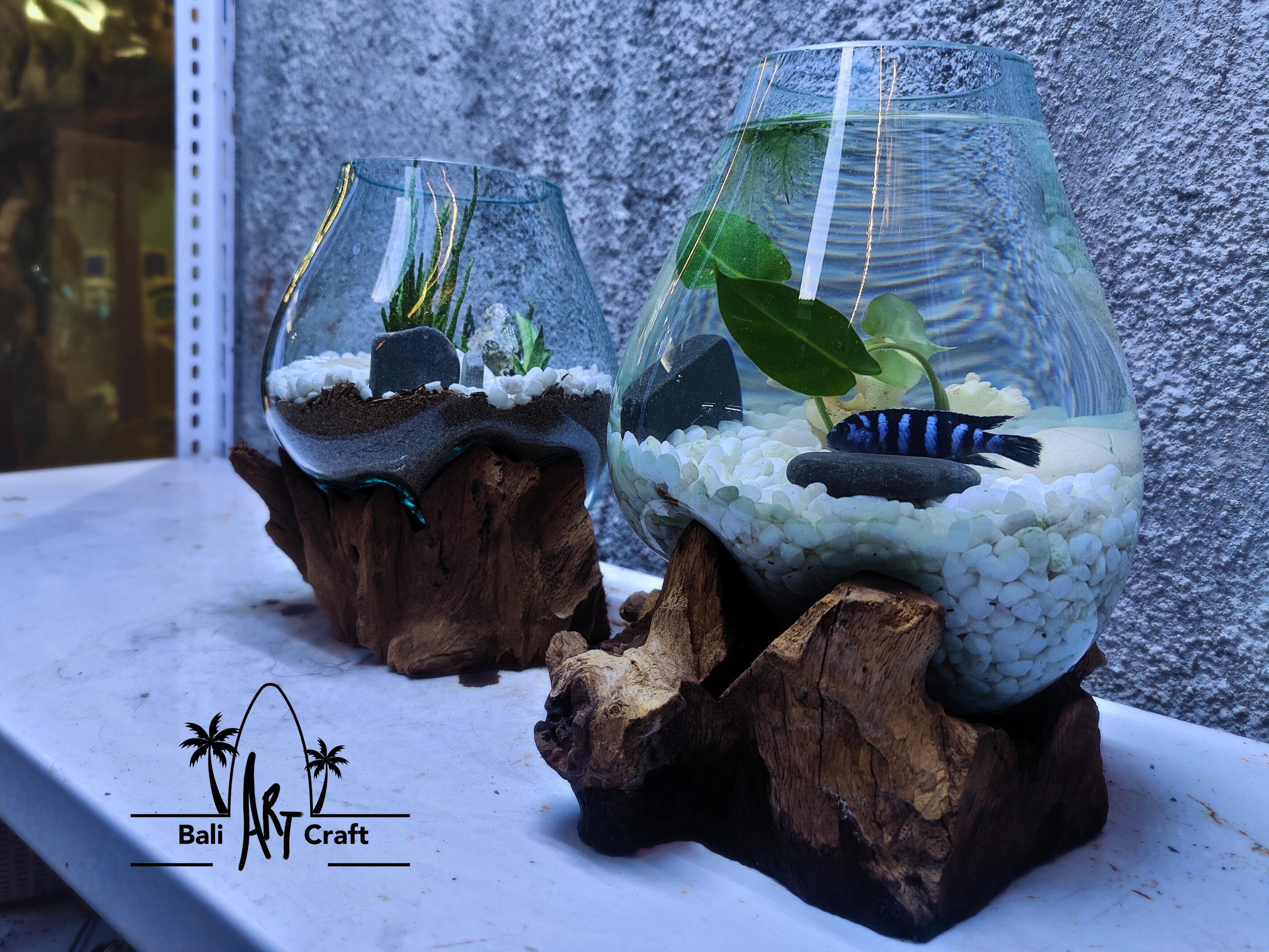 吹きガラス製水槽：1ガロン（約3.8リットル）流木入り水槽 - Etsy 日本