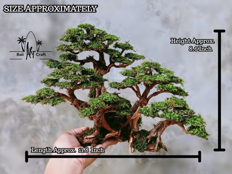 Puede incluir: Un bons&aacute;i en miniatura con un tronco y ramas marrones texturizados, cubiertos de follaje verde vibrante. La altura del &aacute;rbol es de aproximadamente 21,8 cm y la longitud es de aproximadamente 30 cm. El texto "Bali Art Craft" es visible.