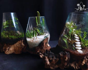 Bioloark Bio Bottle ZD200 - Etsy