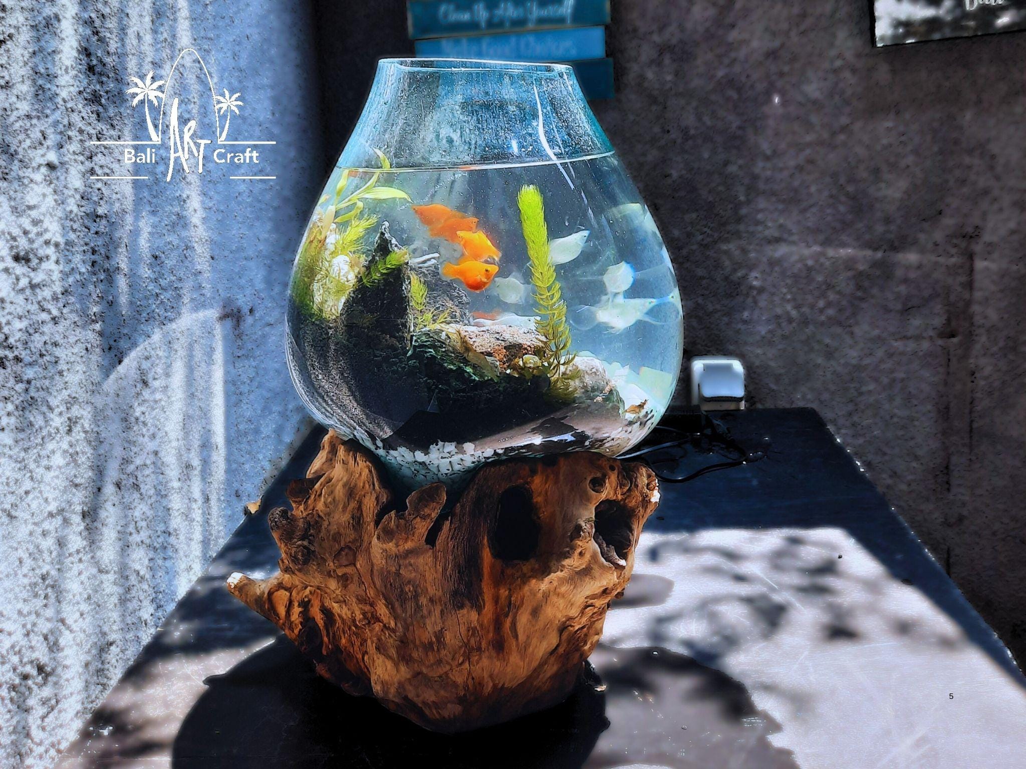 吹きガラスの花瓶+流木台座 日本 Etsy - 3ガロン吹きガラス水槽：素朴 