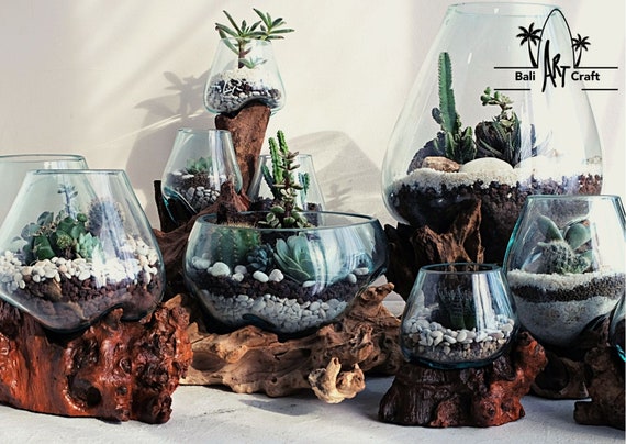 Bois flotté en verre fondu pour vases de terrarium ou plante - Etsy Canada