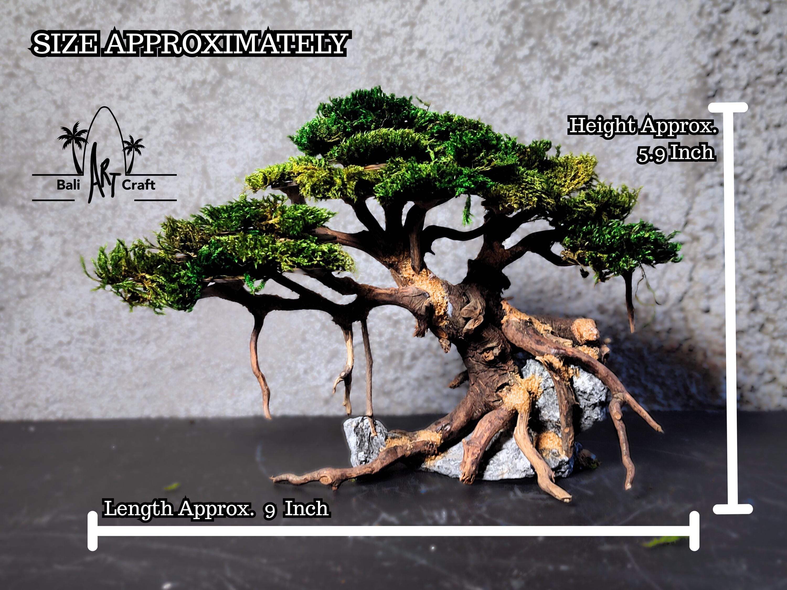 Treibholz Bonsai Baum: Wurzel Skulptur mit Moos, Steinsockel - Etsy.de