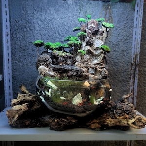 XL Molten Glass Zen Pond: Driftwood Aquascape Terrarium with Waterfall