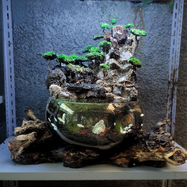 XL Molten Glass Zen Pond: Driftwood Aquascape Terrarium with Waterfall