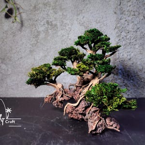 Puede incluir: Un bons&aacute;i en miniatura con un tronco marr&oacute;n texturizado y un follaje verde vibrante. El &aacute;rbol est&aacute; enraizado en una base rocosa de color marr&oacute;n rojizo. El logotipo de Bali Art Craft est&aacute; en la esquina inferior izquierda.