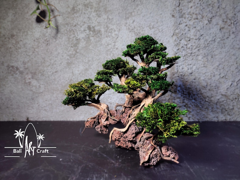 Puede incluir: Un bons&aacute;i en miniatura con un tronco marr&oacute;n texturizado y un follaje verde vibrante. El &aacute;rbol est&aacute; enraizado en una base rocosa de color marr&oacute;n rojizo. El logotipo de Bali Art Craft est&aacute; en la esquina inferior izquierda.