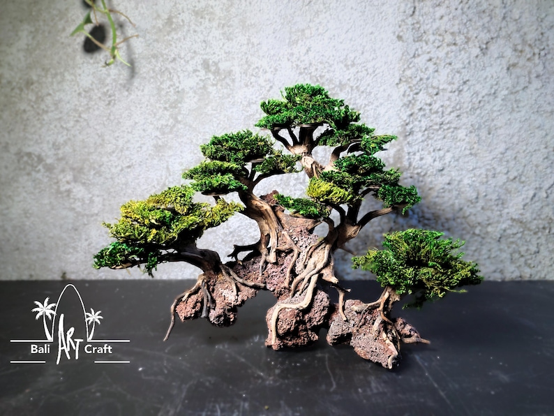 Puede incluir: Un &aacute;rbol bons&aacute;i en miniatura con follaje verde y ra&iacute;ces expuestas, montado sobre una base de roca marr&oacute;n texturizada. Las ramas del &aacute;rbol se extienden hacia afuera, creando una exhibici&oacute;n art&iacute;stica natural. El logotipo de Bali Art Craft est&aacute; en la esquina inferior izquierda.