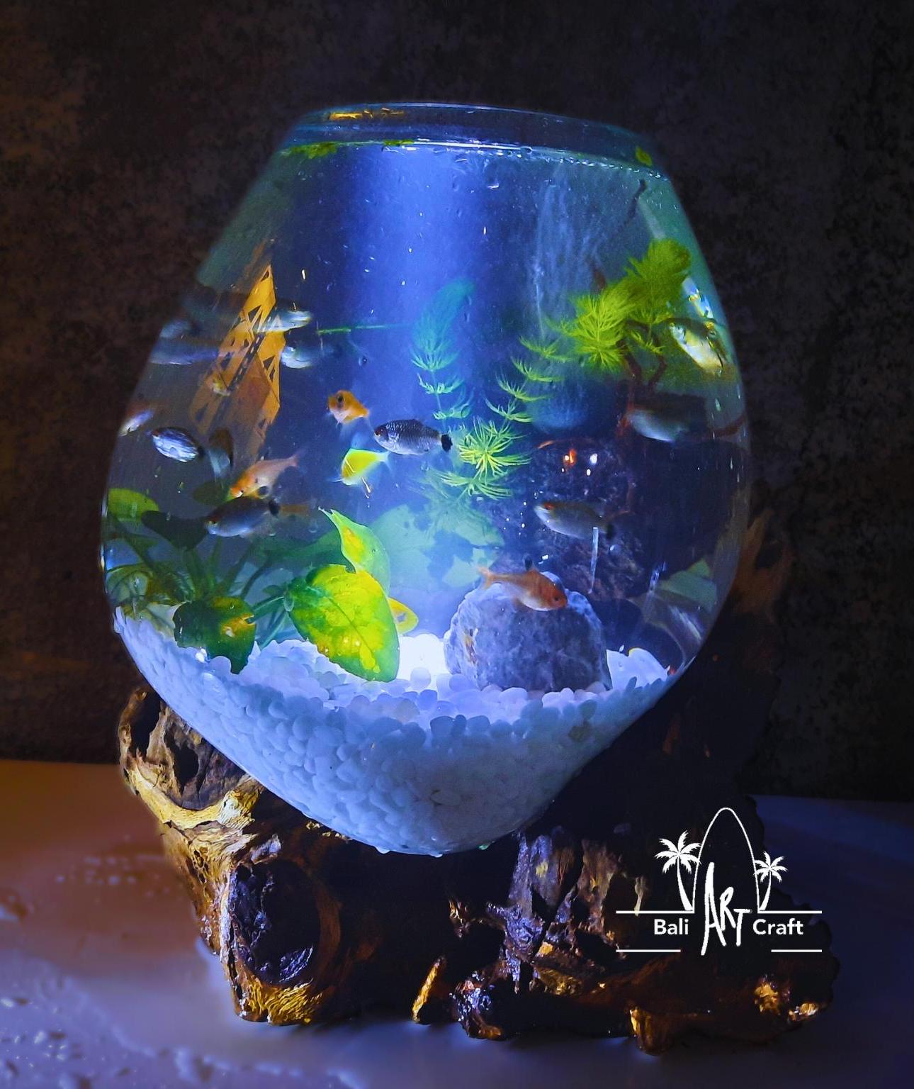 3ガロン吹きガラス水槽：素朴な流木ベース、ベタ用水槽 - Etsy 日本