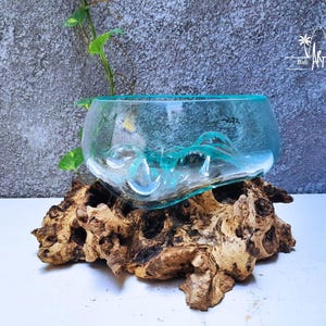 Single Bowl Molten Glass on Wood for Table Decor, Vases, Terrarium Tank, Succulent & Cactus vas, Indoor Mini Garden Art 6.5 - 12 Inch