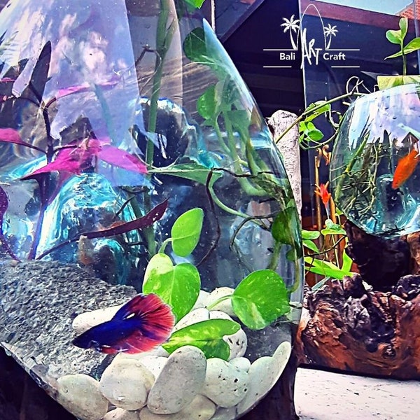 Extra Large Aquarium Decor Etsy