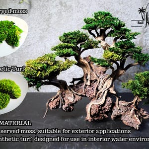 Puede incluir: Un bons&aacute;i en miniatura con follaje verde y ra&iacute;ces expuestas, presentado sobre una superficie oscura. La imagen incluye muestras de musgo preservado y c&eacute;sped sint&eacute;tico, con texto que indica sus usos.