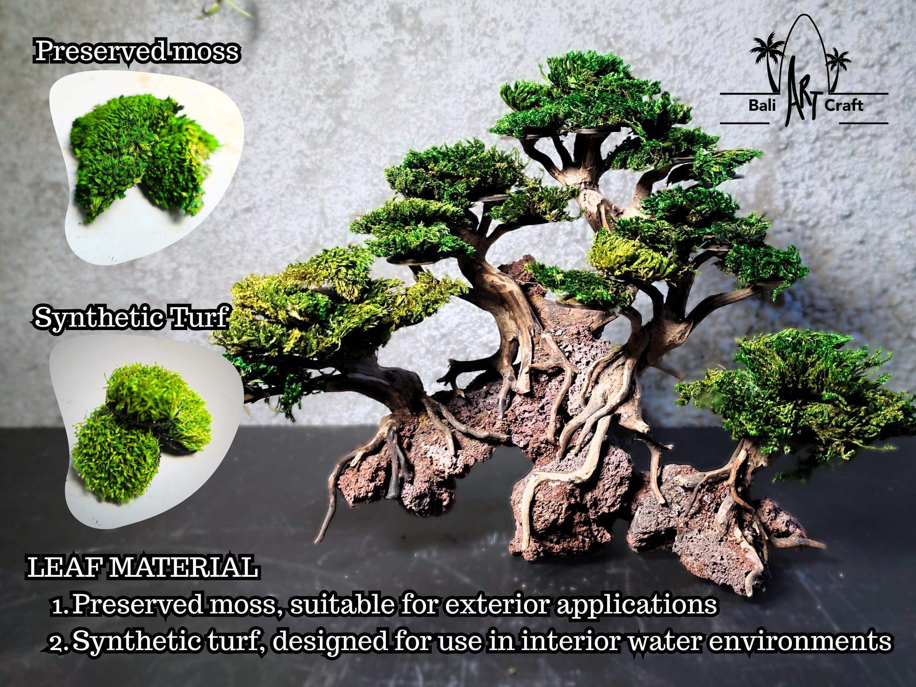 Handcrafted Root Bonsai Tree: Zen Art Decor With Preserved Moss - Etsy