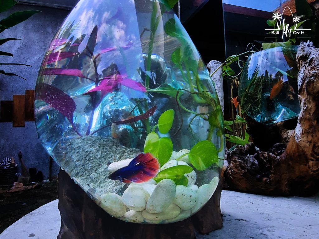 流木付き特大溶融ガラス製ベタ用水槽：バリ風アクアスケープ 12～14