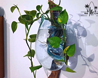 Alle Vase aquarium im Überblick