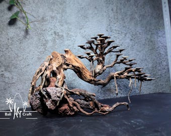 Handgefertigter Treibholz Bonsai Baum mit konserviertem Moos (Outdoor) -  Etsy.de