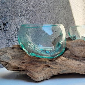 Double blowing glass on driftwood Mini for succulent , Cactus mini garden , gift idea for her, him birthday Christmas gift