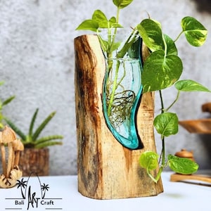 Blumenvasen auf Holz / Vasen / Aquascape / Wurzeln / Gamal Holz