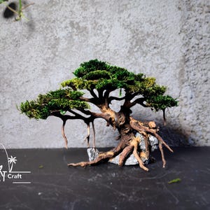 Op de afbeelding: Een miniatuur bonsai boom met een getextureerd, mosgroen bladerdak en zichtbare bruine wortels. De boom is gemonteerd op een kleine rots, wat een naturalistische esthetiek creëert. Het Bali Art Craft-logo is linksonder zichtbaar.
