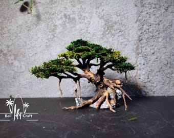 May include: A miniature bonsai tree with a textured, mossy green canopy and exposed brown roots. The tree is mounted on a small rock, creating a naturalistic aesthetic. The Bali Art Craft logo is visible in the lower left corner.