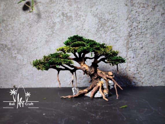 Treibholz Bonsai Baum: Wurzel Skulptur mit Moos, Steinsockel - Etsy.de