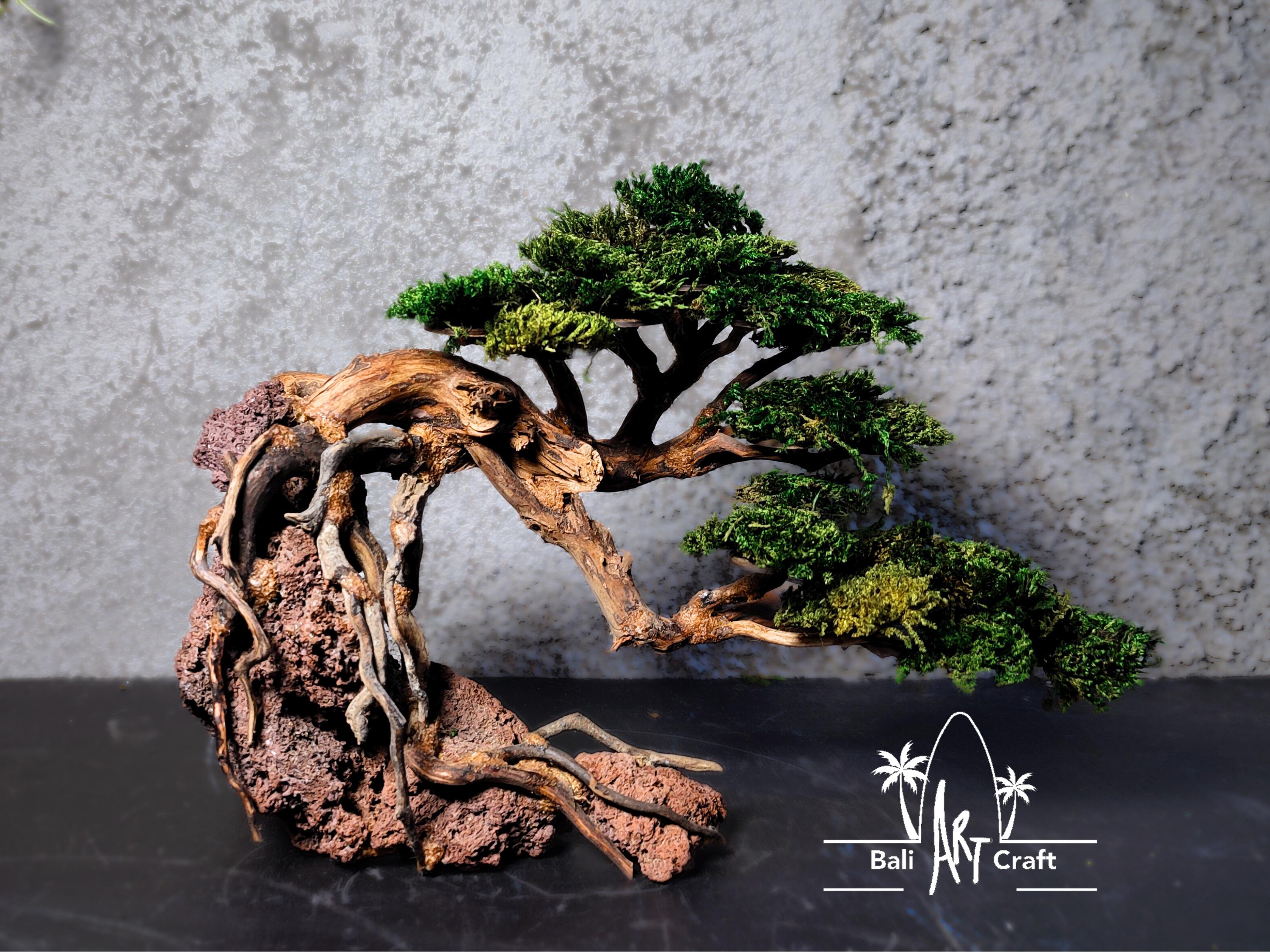 流木盆栽：天然の根の彫刻と保存処理された苔 - Etsy 日本