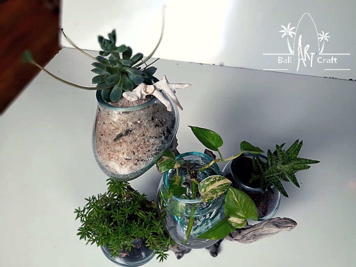 Molten Glasses 4 IN ONE Mini / Vases / Pots / Aquascape / Etsy