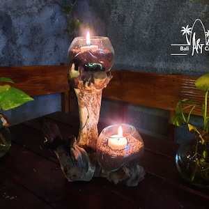 Molten Glasses 2 glass in one driftwood Mini for Vases Pots Aquascape candle holder / Roots / Gamal Wood
