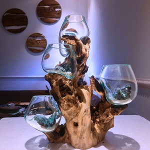 Molten Glasses drift wood wood 4 glass in 1 wood for Vases Pots candle holder Aquascape Roots Gamal Wood image 1