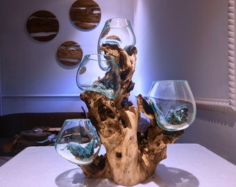 Molten Glasses drift wood wood 4 glass in 1 wood for Vases Pots candle holder Aquascape Roots Gamal Wood