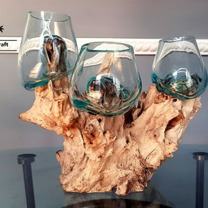 Molten Glasses 3 IN ONE Mini / Vases / Pots / Aquascape  / Roots / Gamal Wood