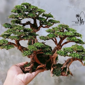 Puede incluir: Un bons&aacute;i en miniatura con una estructura compleja y ramificada. El &aacute;rbol presenta un tronco y ramas de color marr&oacute;n oscuro, con follaje verde vibrante. El bons&aacute;i se sostiene en una mano, mostrando su tama&ntilde;o y detalle. El logotipo de Bali Art Craft es visible.
