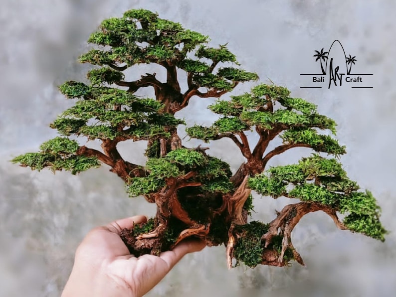 Puede incluir: Un bons&aacute;i en miniatura con una estructura compleja y ramificada. El &aacute;rbol presenta un tronco y ramas de color marr&oacute;n oscuro, con follaje verde vibrante. El bons&aacute;i se sostiene en una mano, mostrando su tama&ntilde;o y detalle. El logotipo de Bali Art Craft es visible.