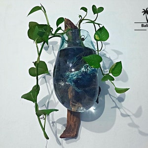 Molten Glass on Wood for Wall - air plant - water plant vas