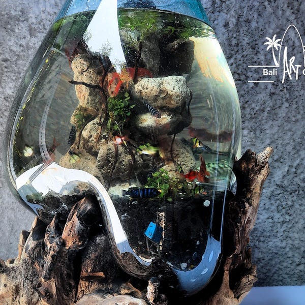 XL Molten Glass Driftwood Aquarium: Handmade Betta Fish Bowl, Waterfall Set