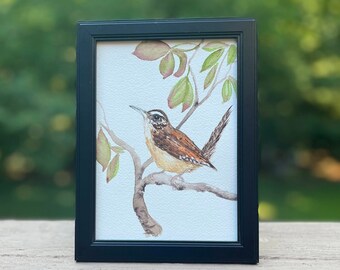 Wren Bird - 5X7 Watercolor Painting