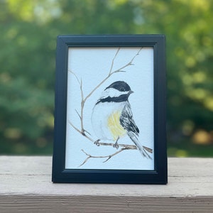 Chickadee Bird - 5X7 Watercolor Painting