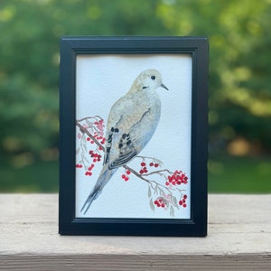 Mourning Dove - 5X7 Watercolor Painting
