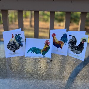 Rooster Card Set with Envelopes