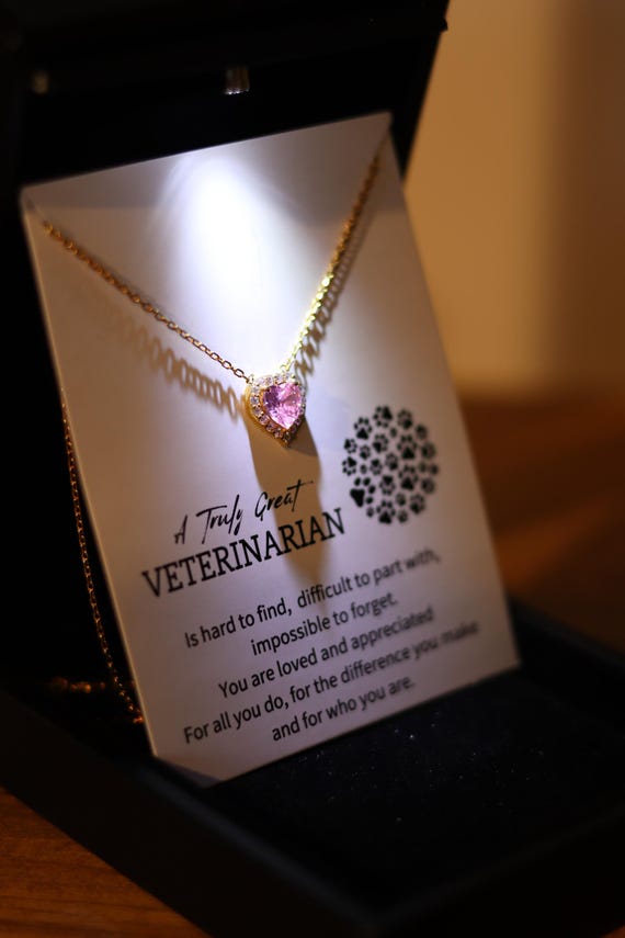 Veterinarian Necklace Gift, Veterinarian Doctor Gift, Heart Necklace with Quartz, Vet Birthday Gift, Veterinarian Birthday, Vet Thank you
