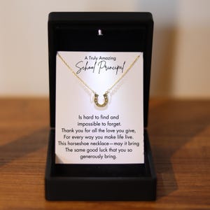 School Principal Silver Luck Necklace, Personalized Principal Gift with Led Light Box, School Principal Appreciation Thank You Gift-