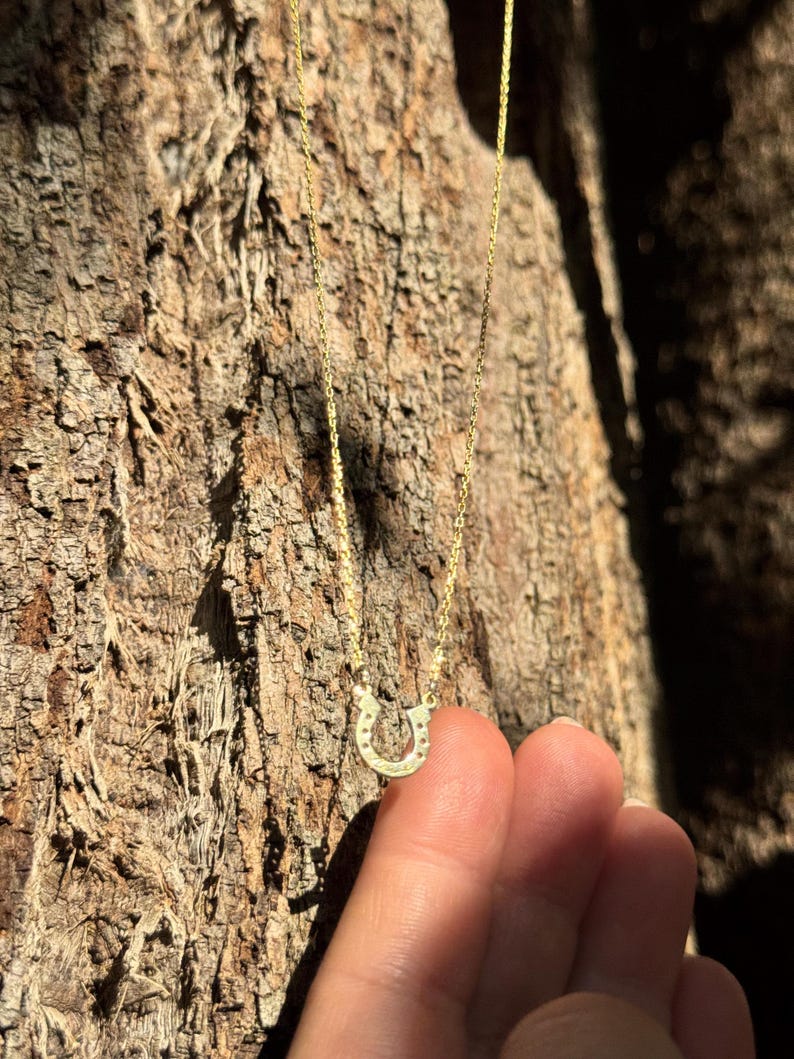 May include: A delicate gold-colored necklace featuring a horseshoe pendant. The horseshoe is detailed with small, sparkling accents. The necklace is displayed against a textured, brown background, with the chain and pendant catching the light.
