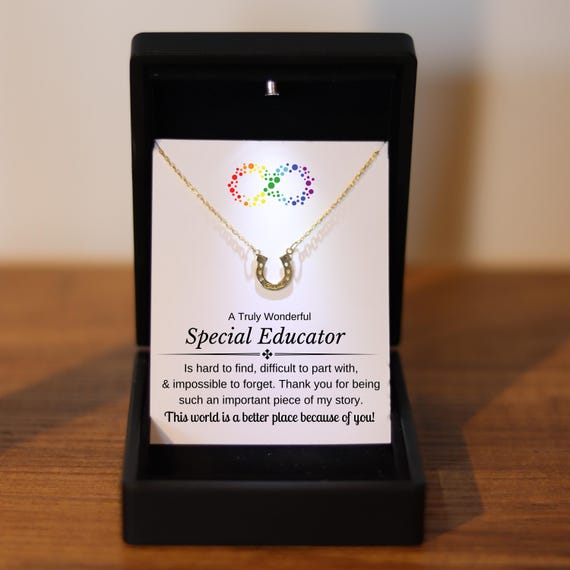 Unique Special Educator Luck Necklace, Autism Teacher Gift, Daycare Director Thank You Gift, Special Needs Educator Christmas Lucky Charm