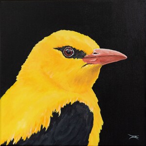 Oropéndola, Retrato de pájaro, Pintura acrílica, Decoración de pared, Arte, Diseño, Pieza única, Obra de arte.