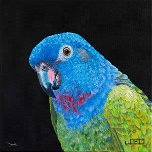 Loro cabeciazul, Retrato de pájaro, Pintura acrílica, Decoración mural, Arte, Diseño, Pieza única, Obra de arte.