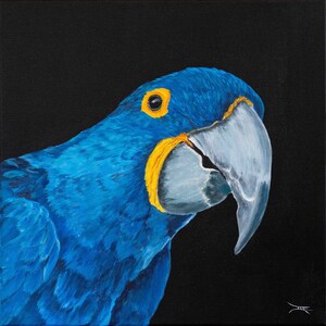 Obra de arte original, Retrato de guacamayo de Lear, acrílico sobre lienzo, retrato de pájaro, Pintura animal, Arte de pared, Pieza única