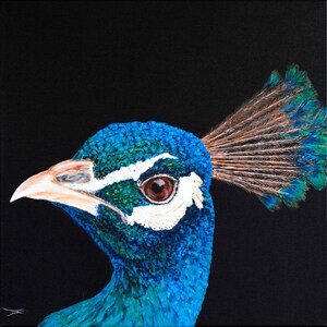 Pavo real, retrato, pájaro, pintura acrílica, decoración de pared, arte, diseño, pieza única, obra de arte.