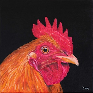 Gallo, retrato, pájaro, pintura acrílica, decoración de pared, arte, diseño, pieza única, obra de arte.