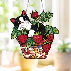 Black Cat Sleeping on Strawberry: Hologram Acrylic Window Decor