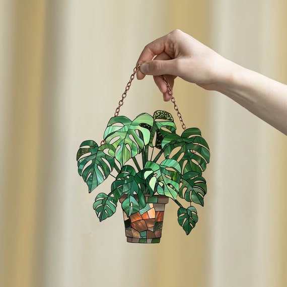 plant kentia Howea forsteriana (Kentia Palm) – Plant Material main image 1
